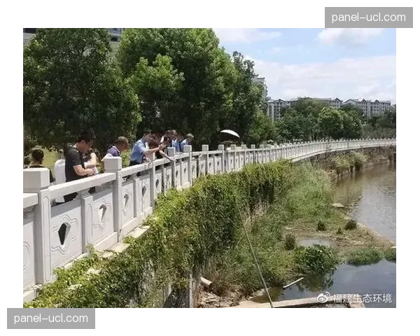 生态内各环节正借助开放接口实现无缝联动